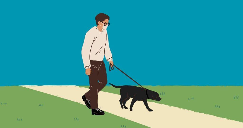 Best dog walking apps to find dog walking jobs